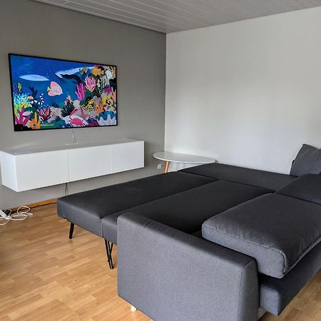Storchennest - Schoenes, Ruhiges Apartment Mit Sonnenterrasse Tettnang Zewnętrze zdjęcie